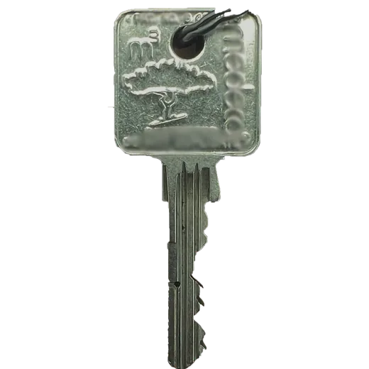 Medeco Key Copy Toronto